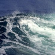 Waves in the Sea