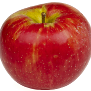 Here We Go Round the Apple Tree – An Active Way to Get Ready for Fall